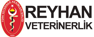Reyhan